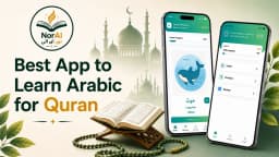 Learner using NorAI to study Quranic Arabic words through visual lessons