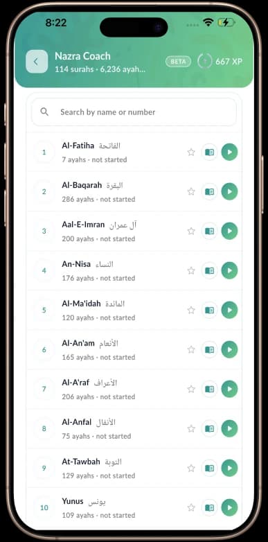 Surah & Arabic Ayahs