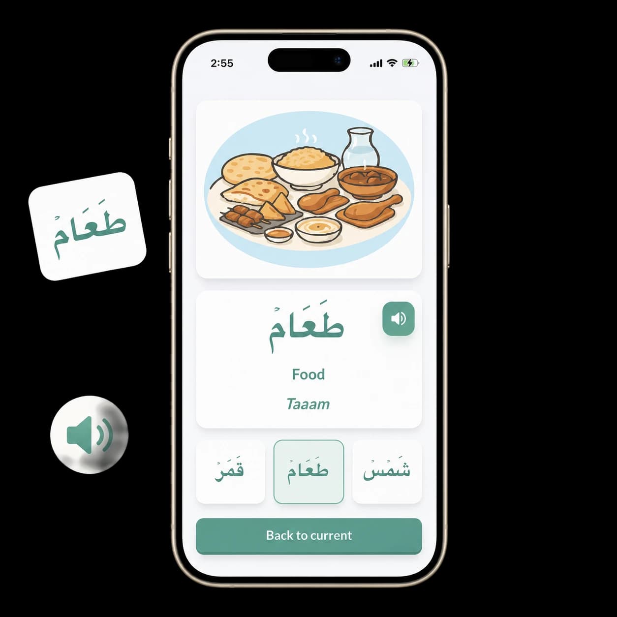 Audio Practice Supports Listening and Recognition