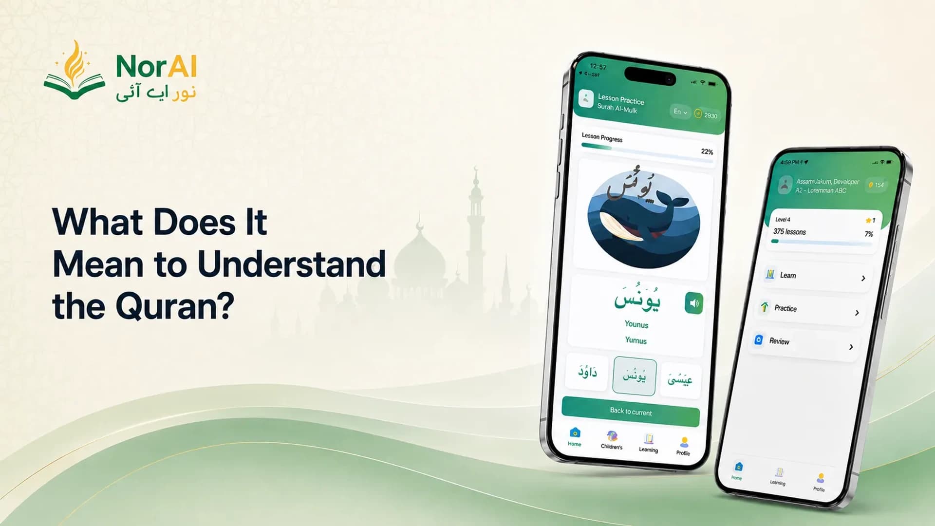 What Does It Mean to Understand the Quran?