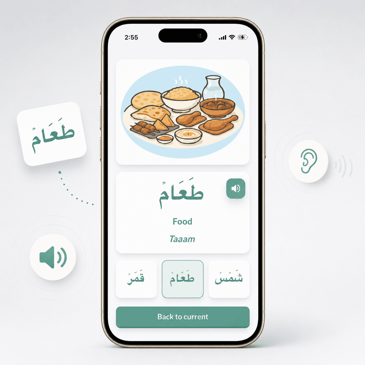 Audio Practice Supports Listening and Recognition